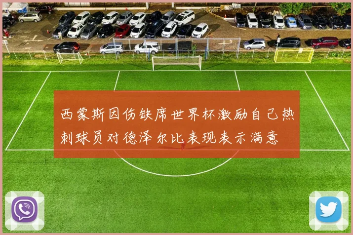 西蒙斯因伤缺席世界杯激励自己热刺球员对德泽尔比表现表示满意