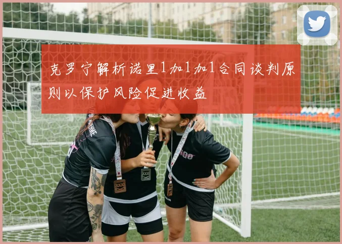 克罗宁解析诺里1加1加1合同谈判原则以保护风险促进收益